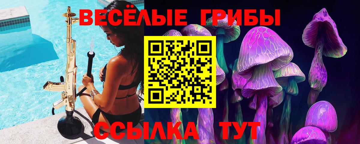 Псилоцибиновые грибы Psilocybe Котовск