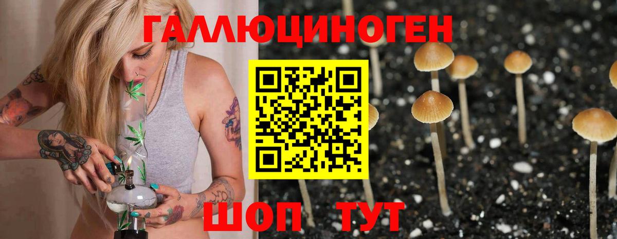 Псилоцибиновые грибы Psilocybe  Псилоцибиновые грибы Psilocybine cubensis  Котовск  Вход с VPN 