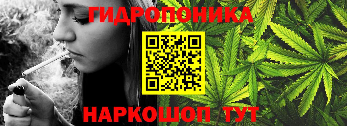 Конопля гибрид  Конопля марихуана  Котовск  Вход с VPN  Бошки Шишки план  МАРИХУАНА White Widow 
